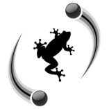 Quantenfrosch Webservices